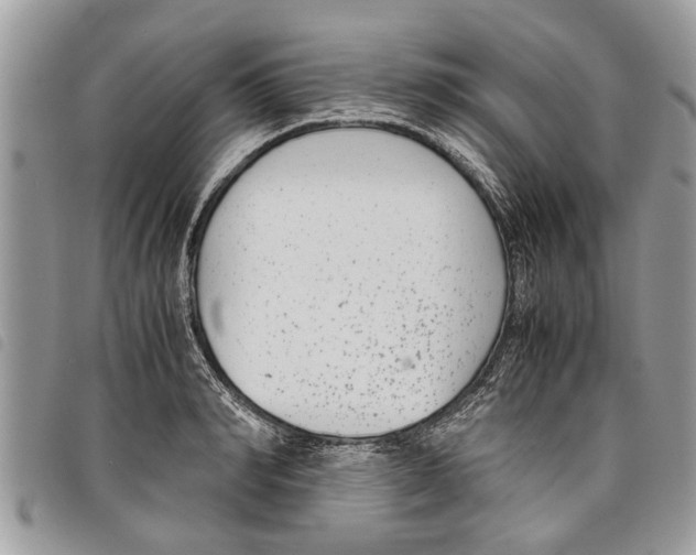 X0000097800990200804110919