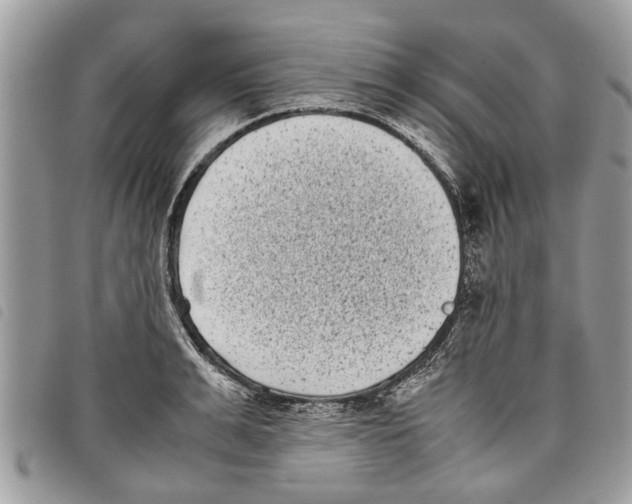 X0000097800991200804110919