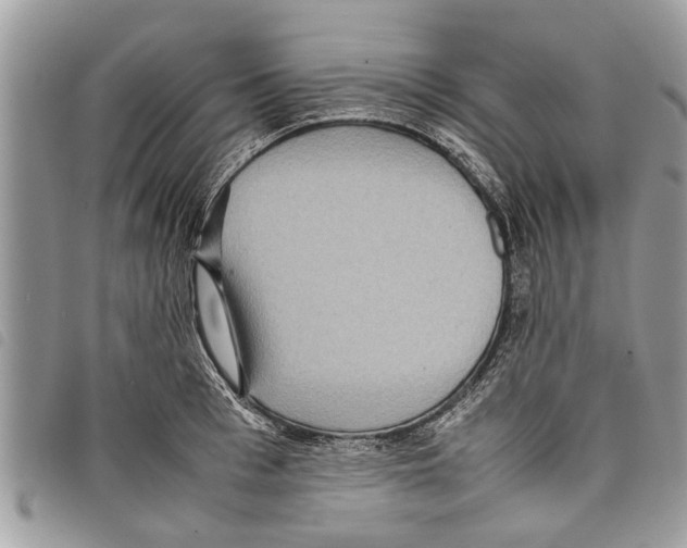 X0000097800993200804110919