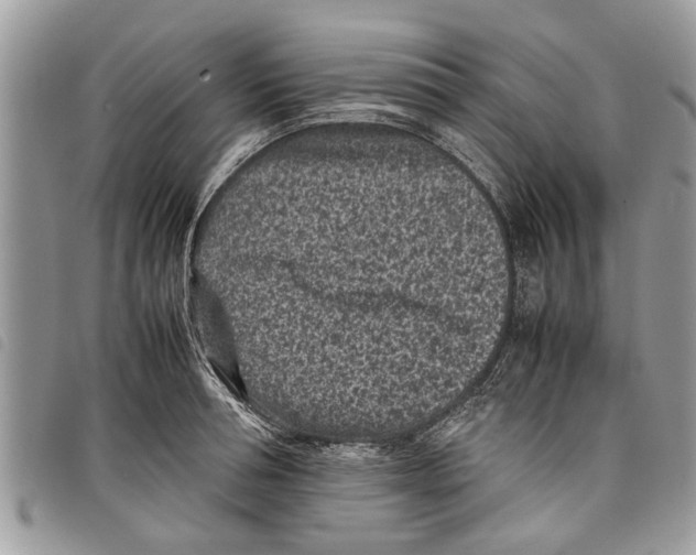 X0000097800994200804110919