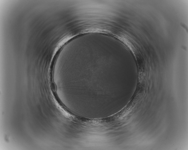 X0000097800995200804110919