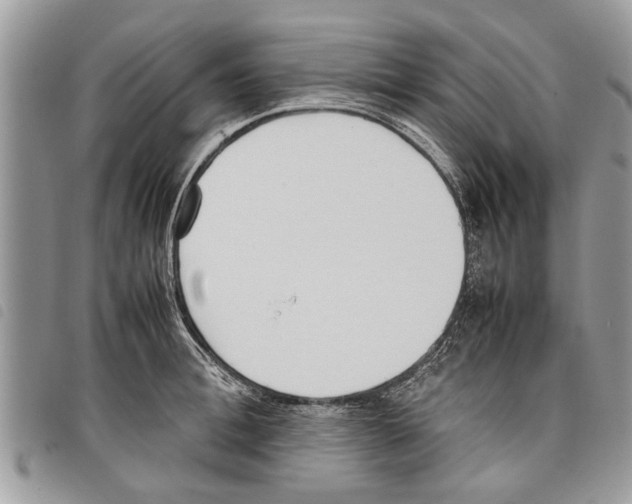 X0000097800996200804110919