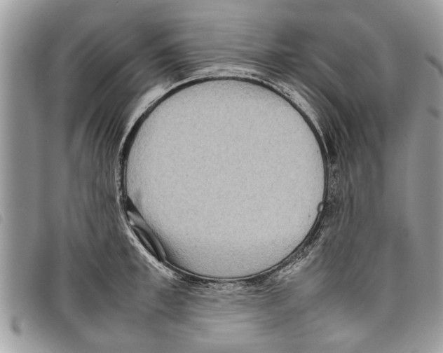 X0000097800997200804110919