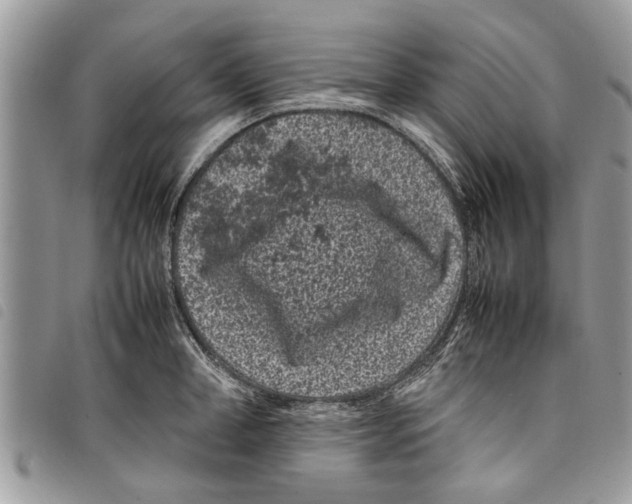 X0000097800998200804110919