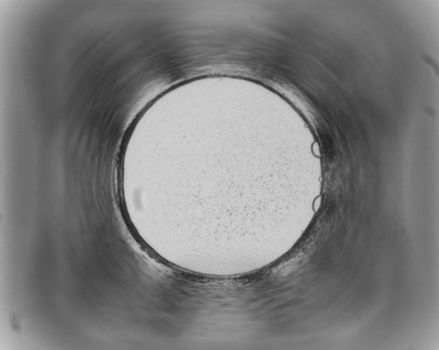 X0000097800999200804110919