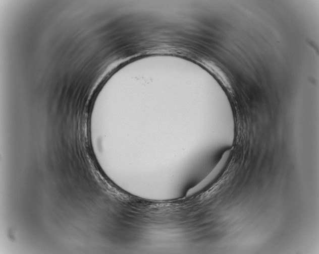 X0000097801000200804110919