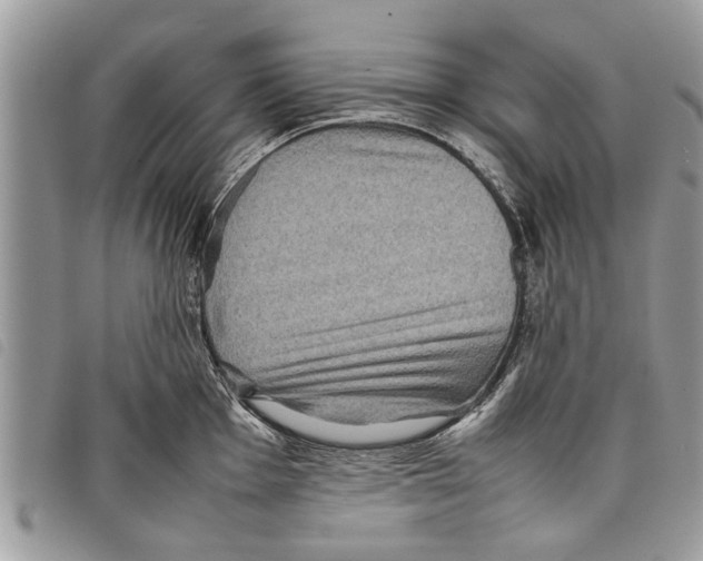 X0000097801001200804110919