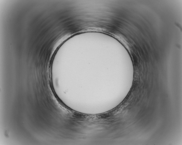 X0000097801003200804110919