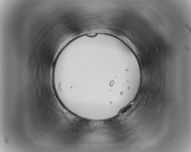 X0000097801006200804110919