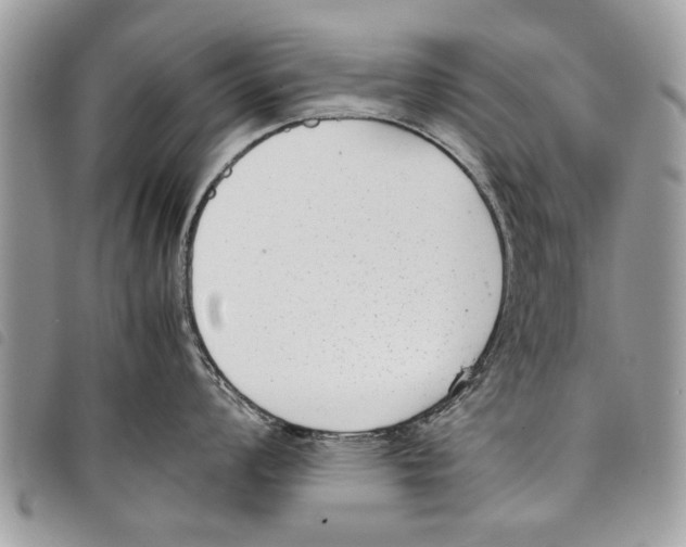 X0000097801008200804110919