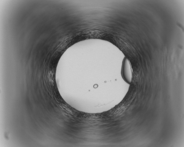 X0000097801010200804110918