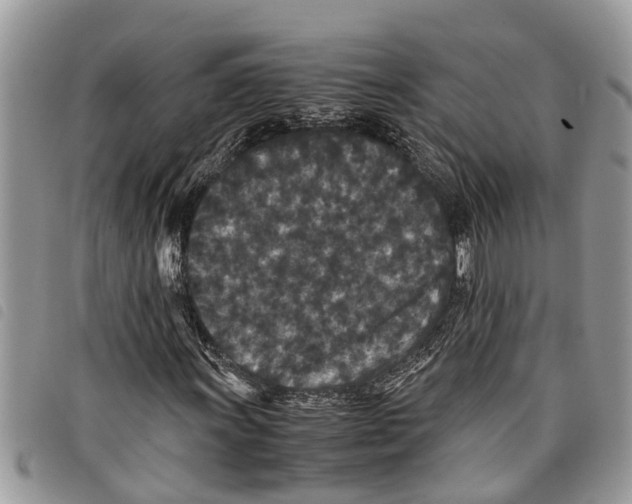 X0000097801011200804110918