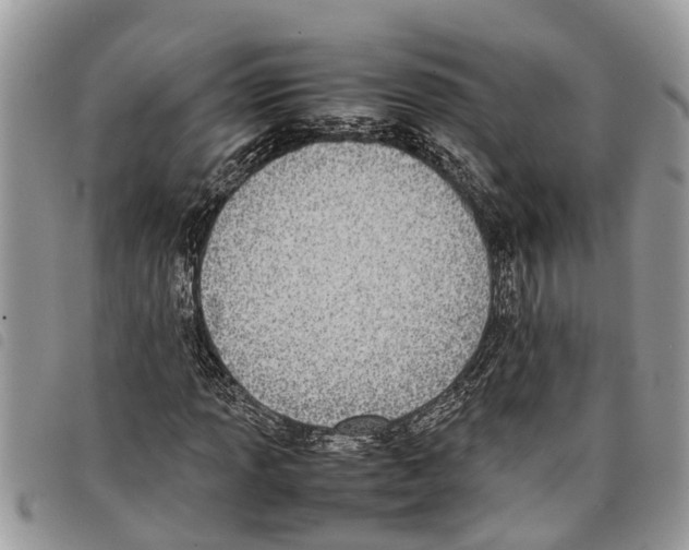 X0000097801013200804110918