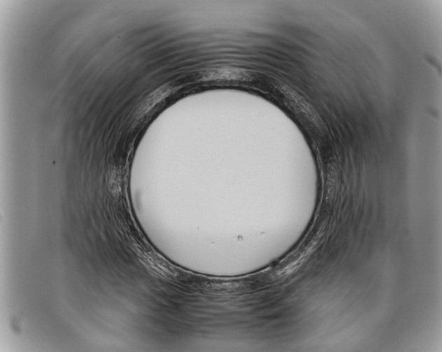 X0000097801017200804110918