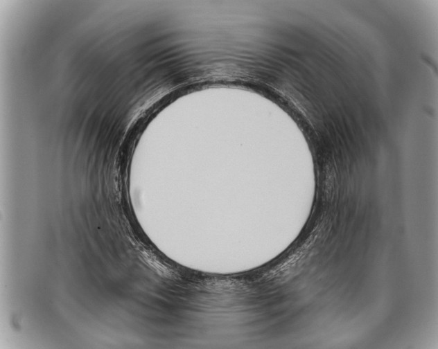 X0000097801018200804110918