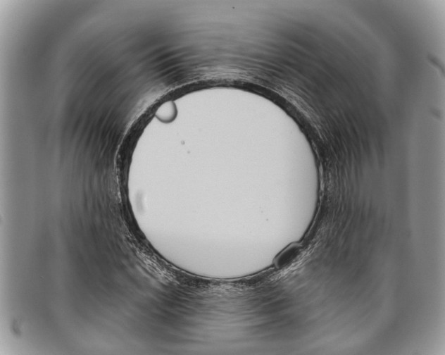 X0000097801022200804110918