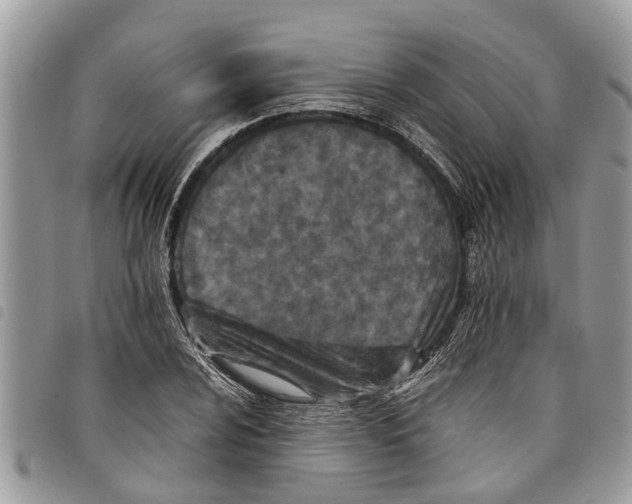 X0000097801024200804110918