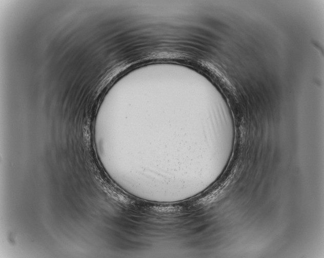 X0000097801025200804110918