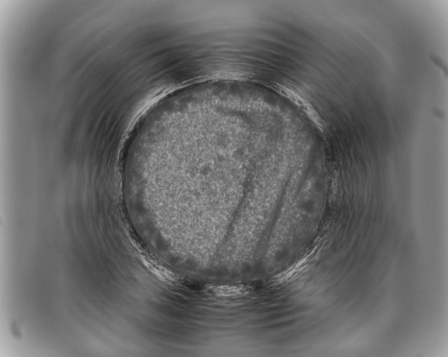 X0000097801027200804110918