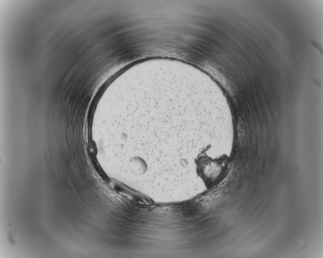 X0000097801028200804110918