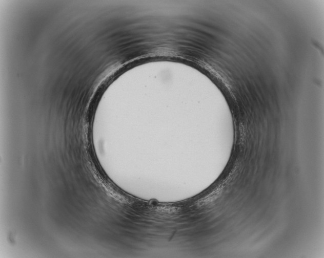 X0000097801029200804110918