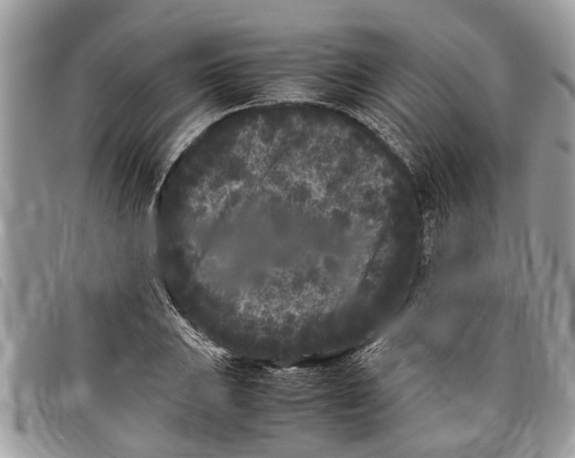 X0000097801031200804110918