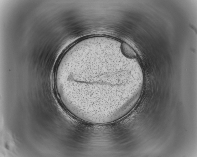 X0000097801032200804110918