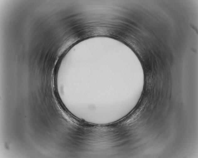 X0000097801034200804110919