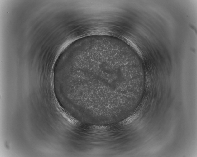 X0000097801035200804110919