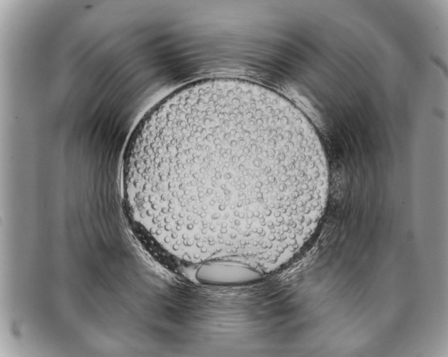 X0000097801036200804110919