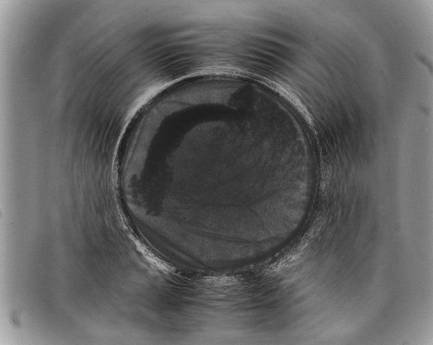 X0000097801037200804110919