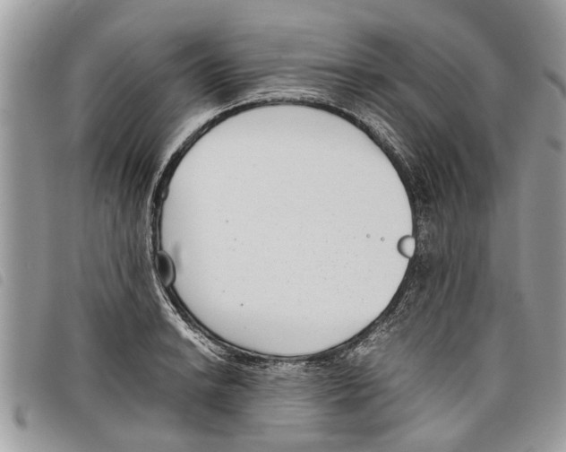 X0000097801038200804110919