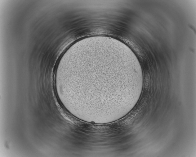 X0000097801039200804110919