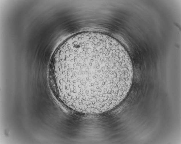 X0000097801040200804110919