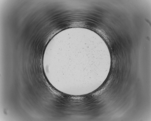 X0000097801041200804110919