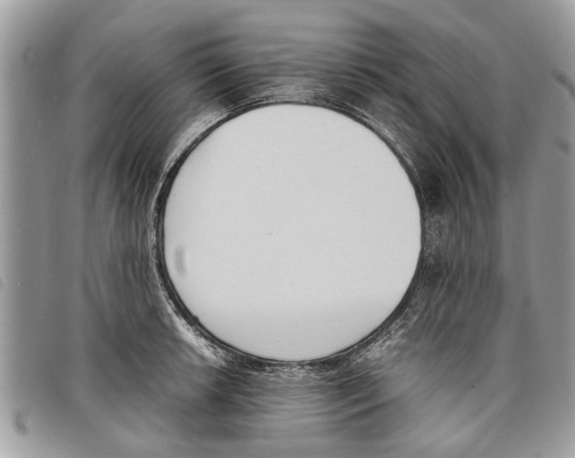 X0000097801042200804110919