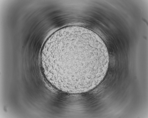 X0000097801044200804110919