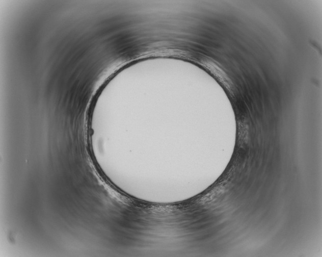 X0000097801046200804110919