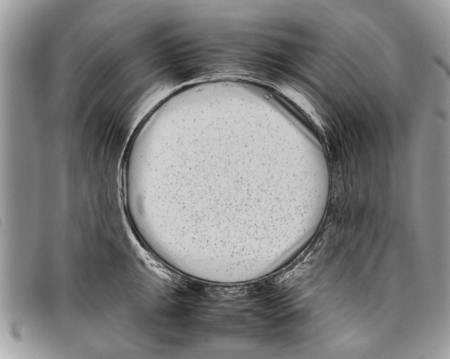 X0000097801047200804110919