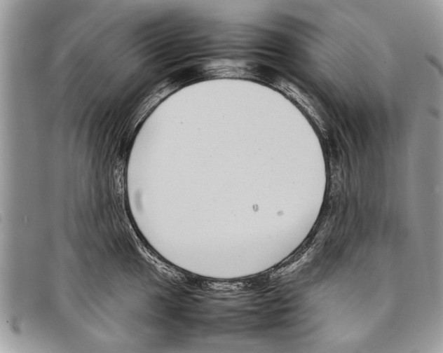 X0000097801049200804110919