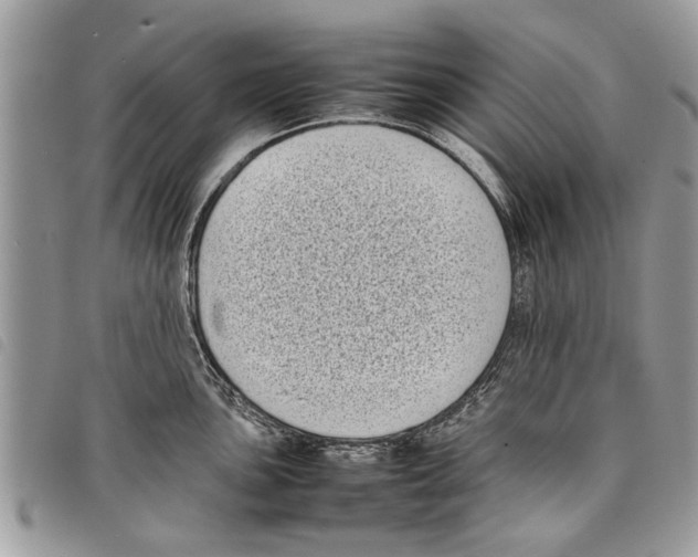 X0000097801051200804110919