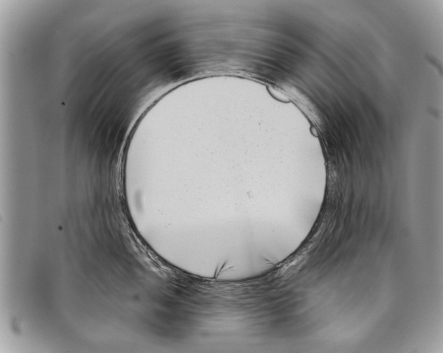 X0000097801052200804110919