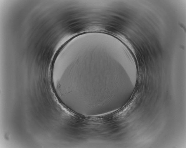 X0000097801053200804110919