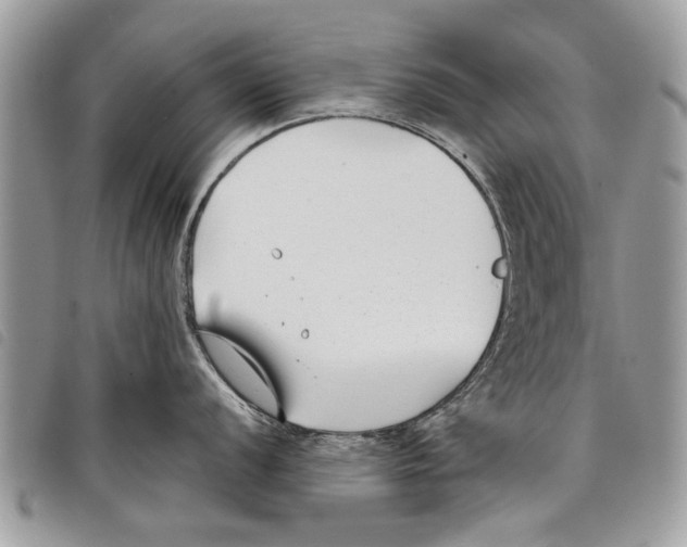 X0000097801056200804110919