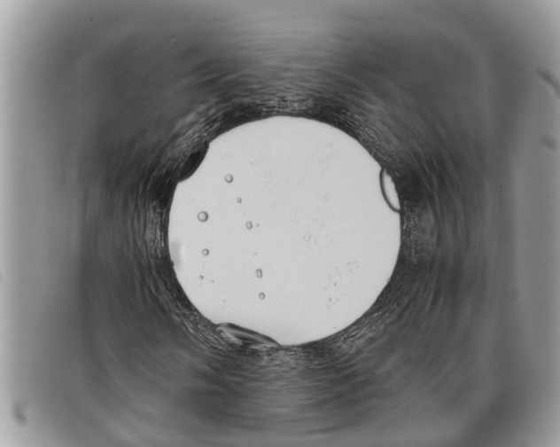 X0000097801058200804110918