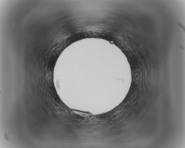 X0000097801061200804110918