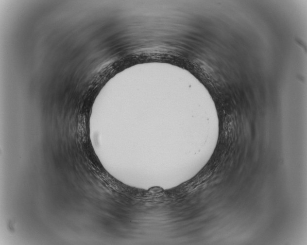 X0000097801062200804110918