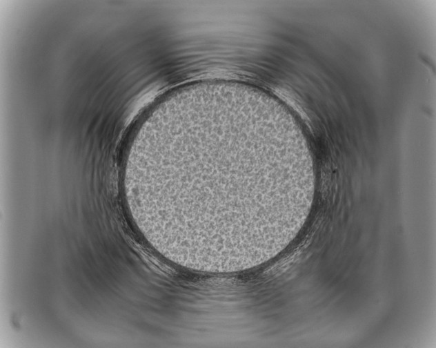 X0000097801067200804110918