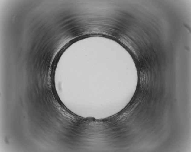 X0000097801068200804110918