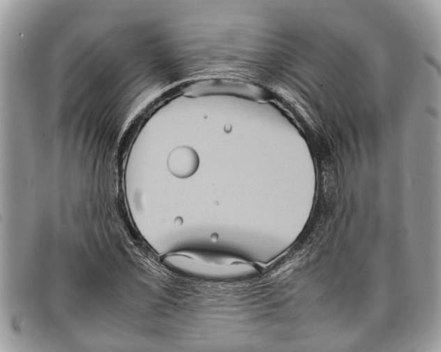 X0000097801069200804110918